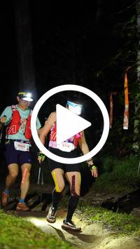 BIB:  <button type="button" onclick="openModal(27558813)" class="btn btn-primary btn-sm float-right" data-toggle="modal" data-target=".modal-high-quality">
                <i class="fa fa-download"></i> Download
                </button>